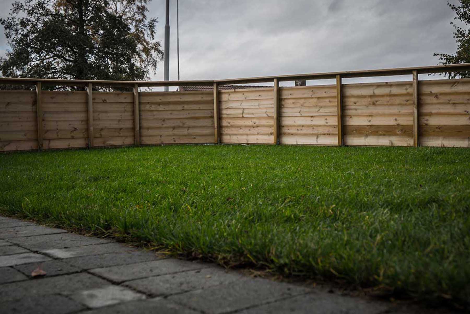 plen_4818 Få en grønn og frodig plen med profesjonell gartnerarbeid fra loevindhage.no